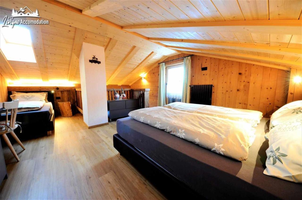 Chalet Mountain Scoiattolo By *