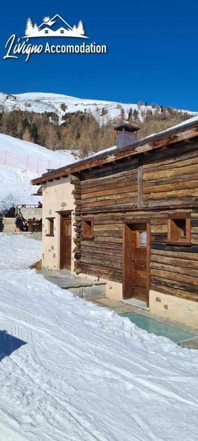 Mountain Scoiattolo By Chalet *