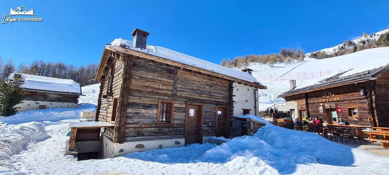 Mountain Scoiattolo By Chalet *