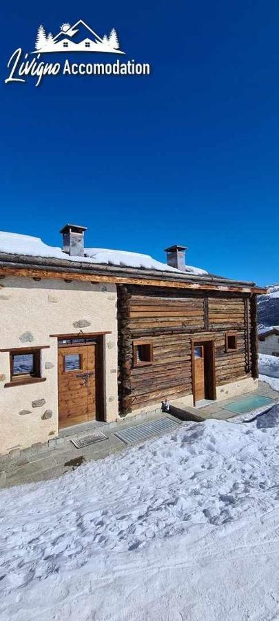 Mountain Scoiattolo By * Livigno