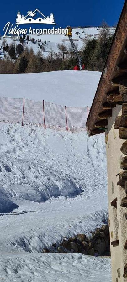 Mountain Scoiattolo By Livigno
