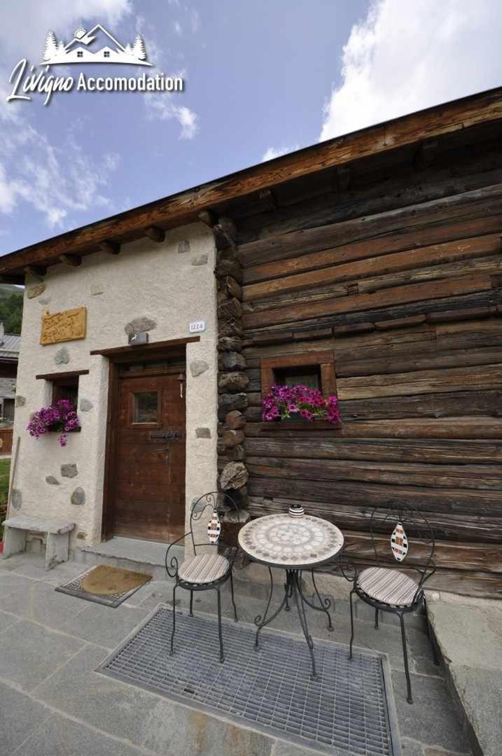 Chalet Mountain Scoiattolo By *