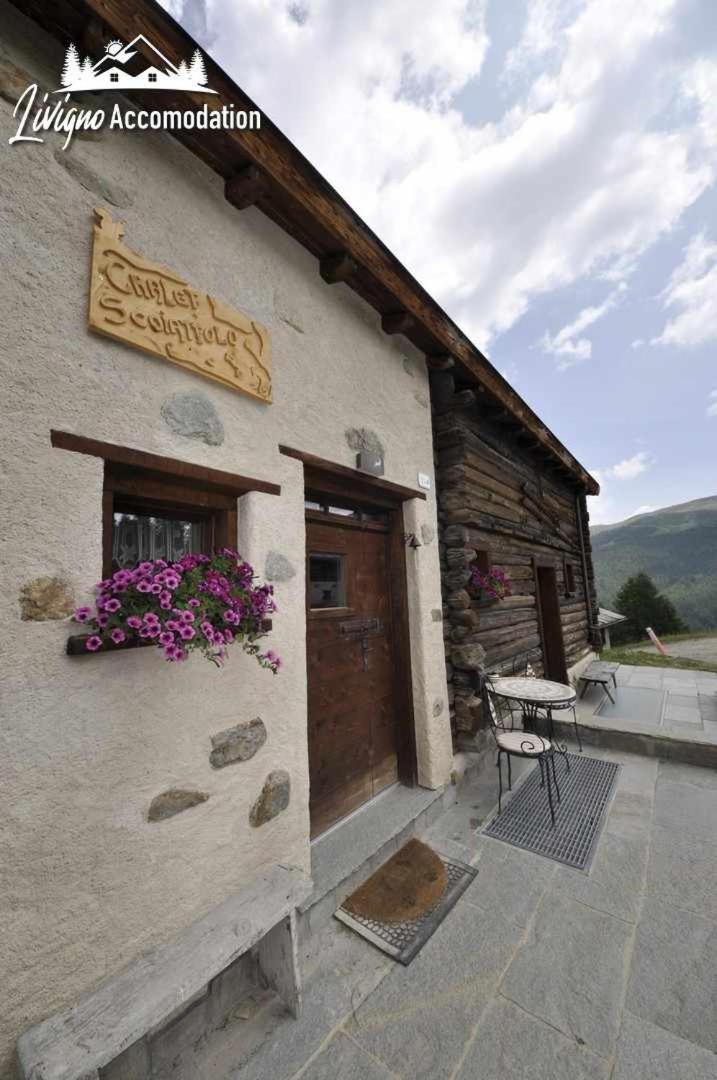 Chalet Mountain Scoiattolo By *