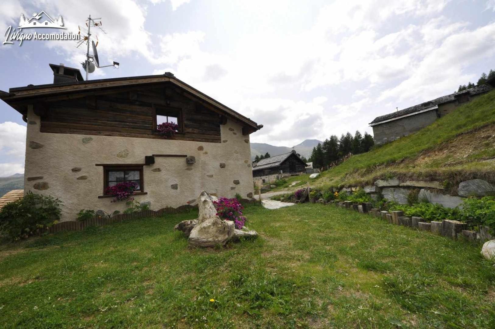 Chalet Mountain Scoiattolo By *